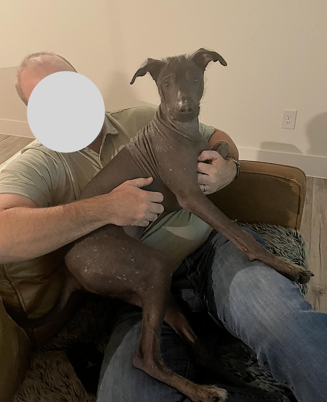 Nacho — thumbnail 3