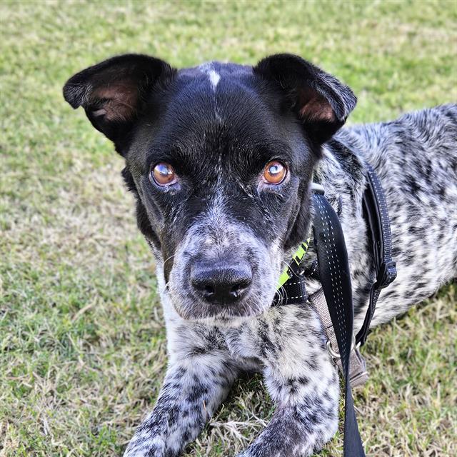 LILY* — thumbnail 3