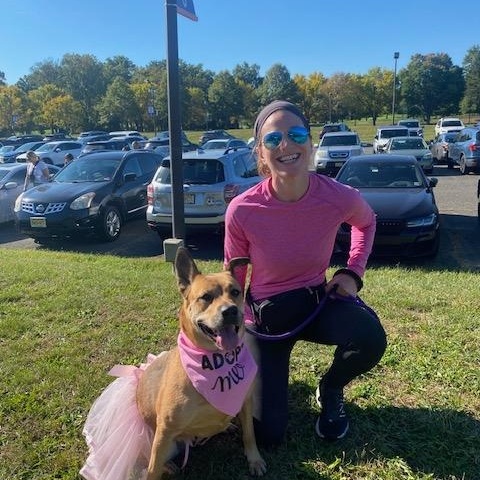 Roz, a Adoptable Shepherd image 2/6