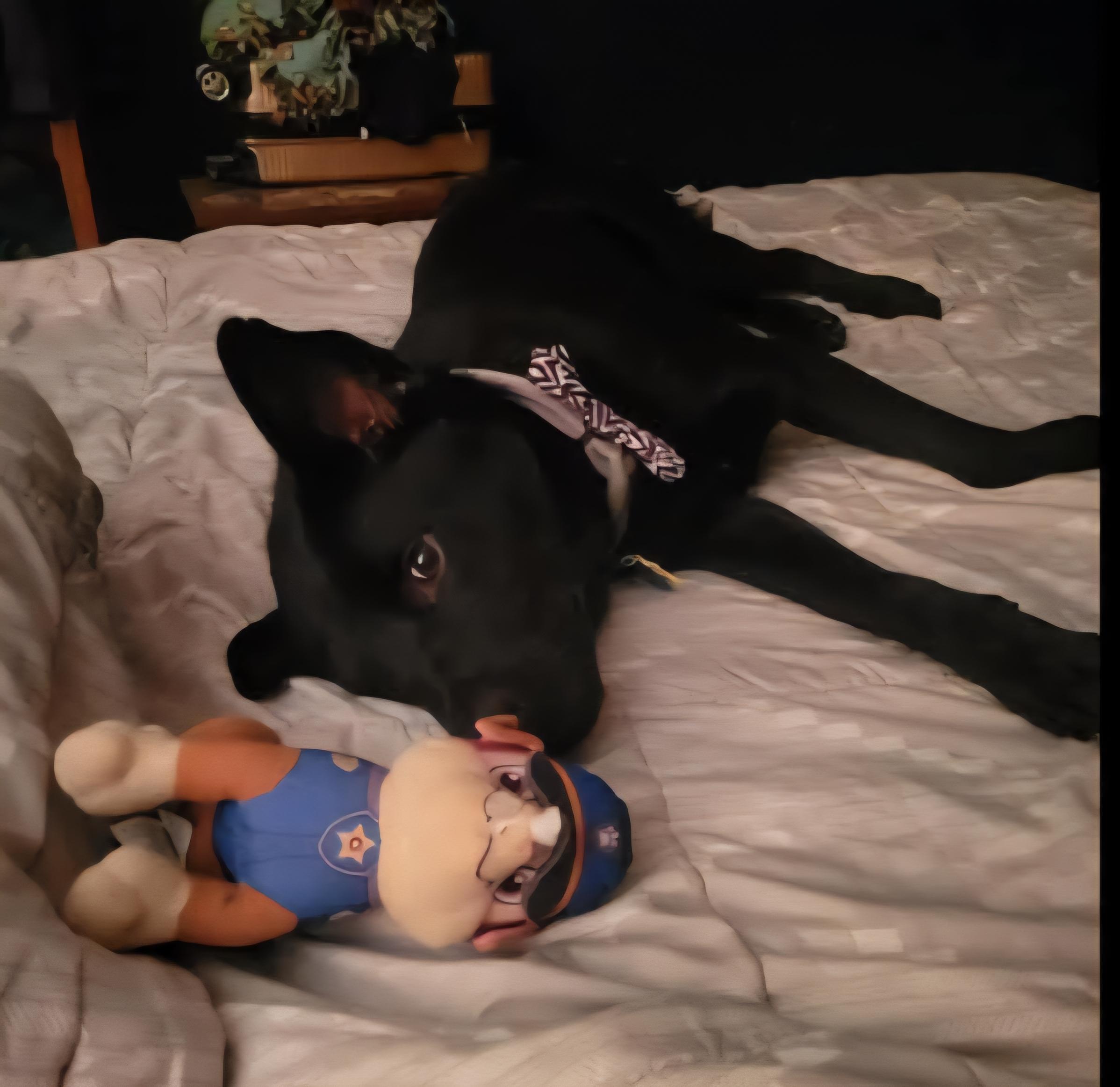 Enzo