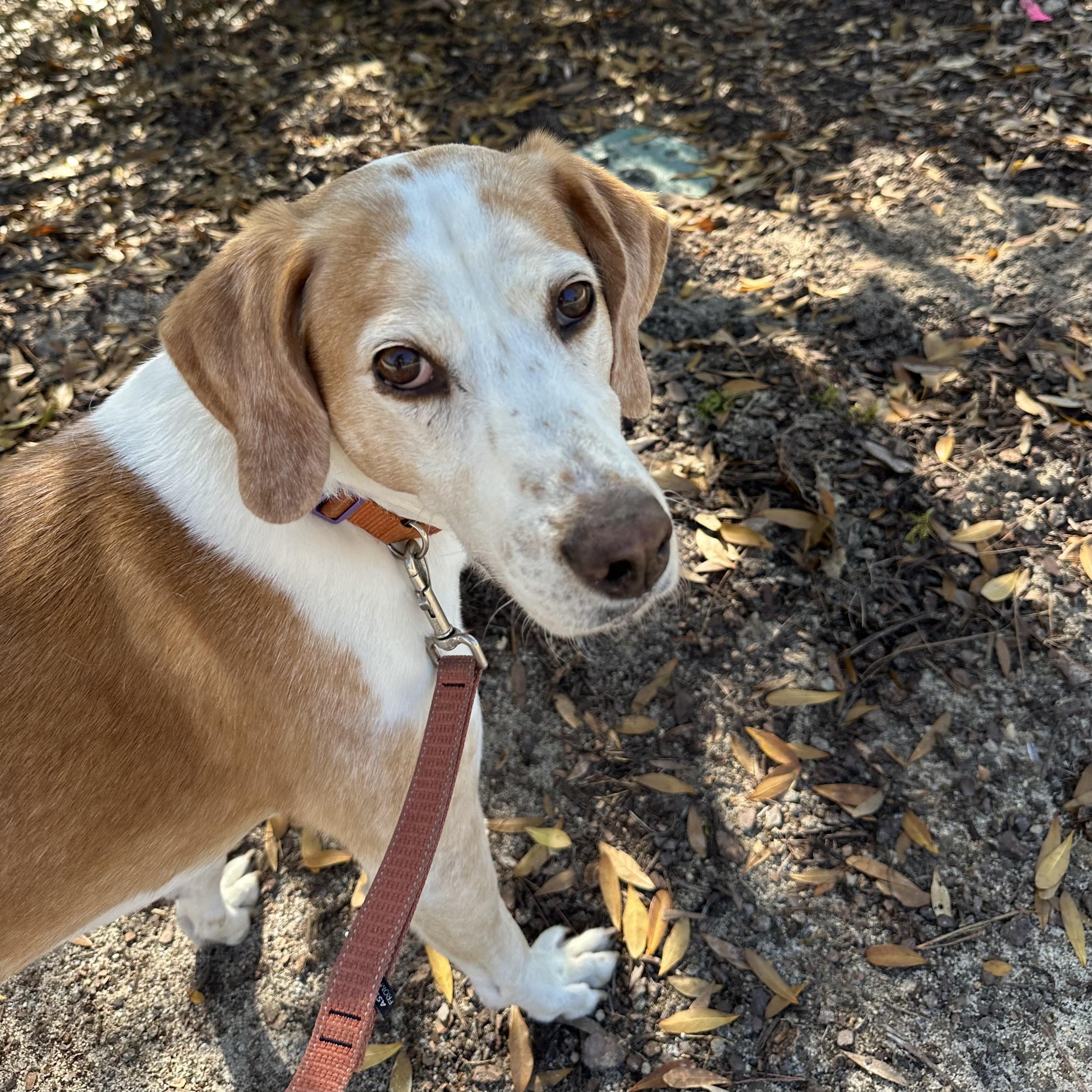 Jackson — thumbnail 5