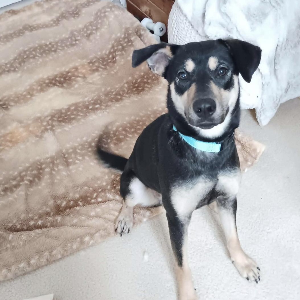 Genevieve thumbnail 2