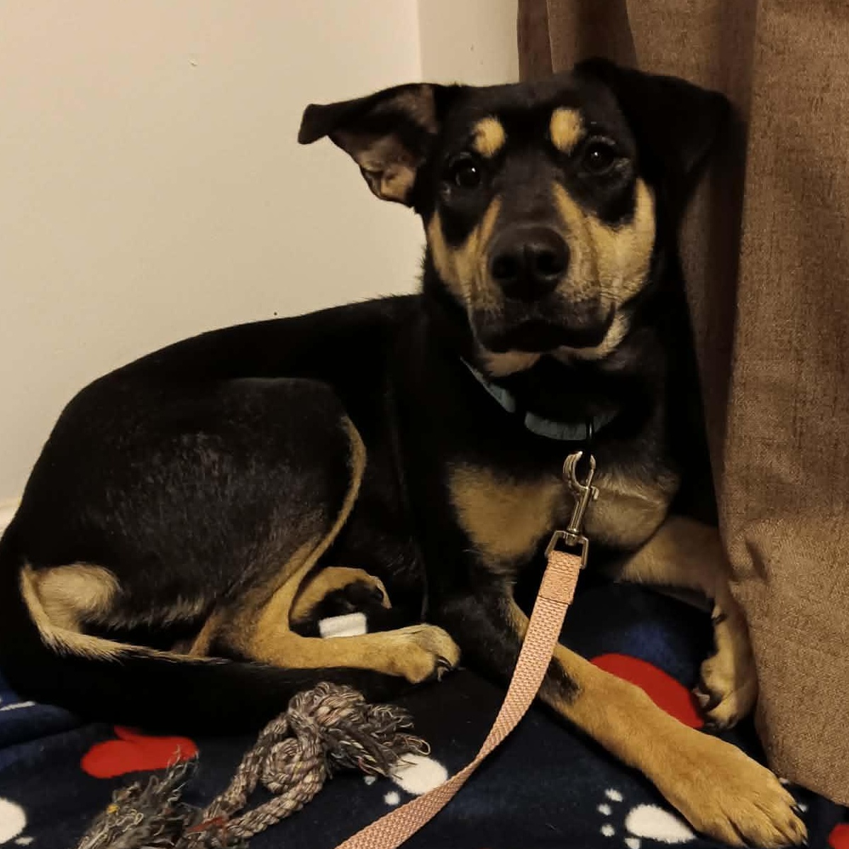 Genevieve thumbnail 4