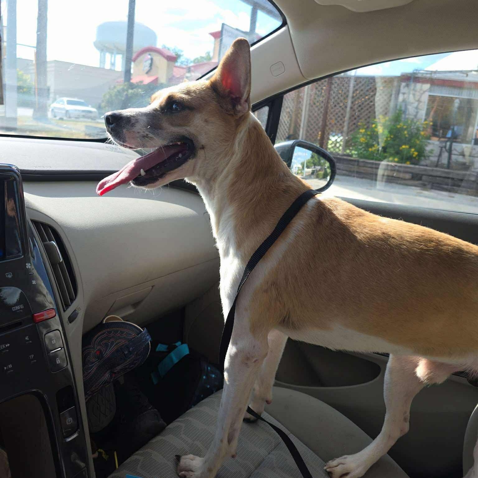 Kenny — thumbnail 4