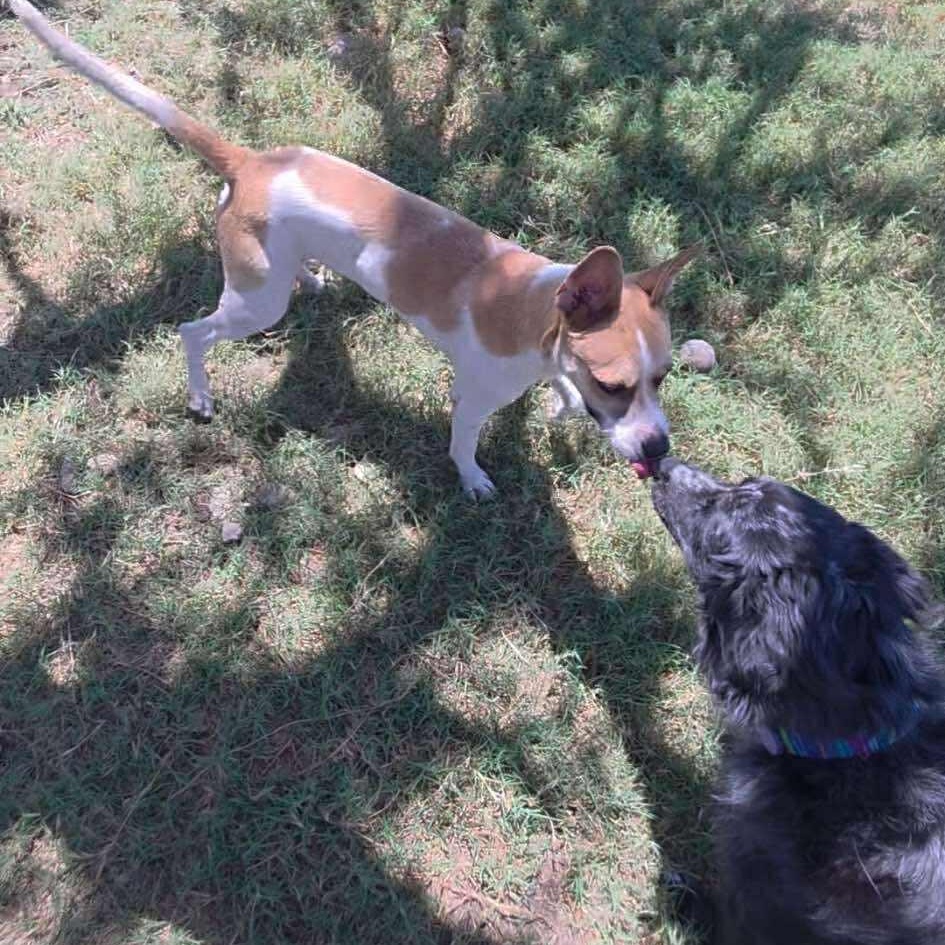 Kenny — thumbnail 6