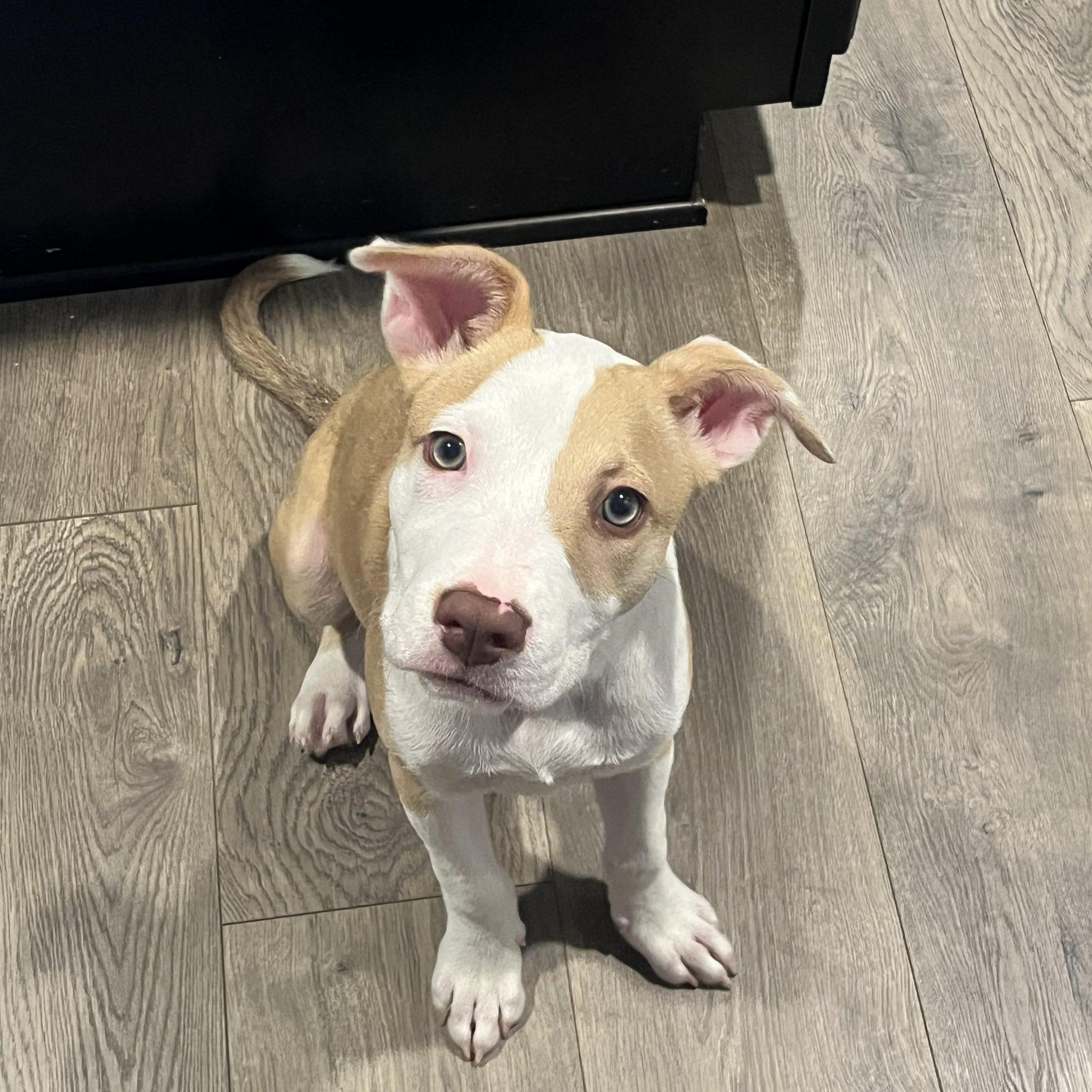 Molly