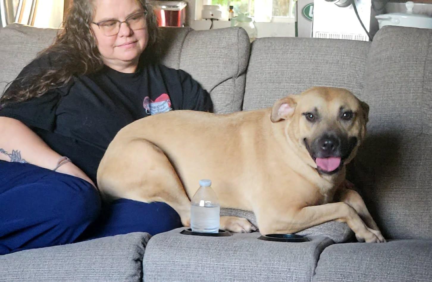 Enlarge Elliott, a ADOPTABLE Mixed Breed in Northwood, NH image 6/6