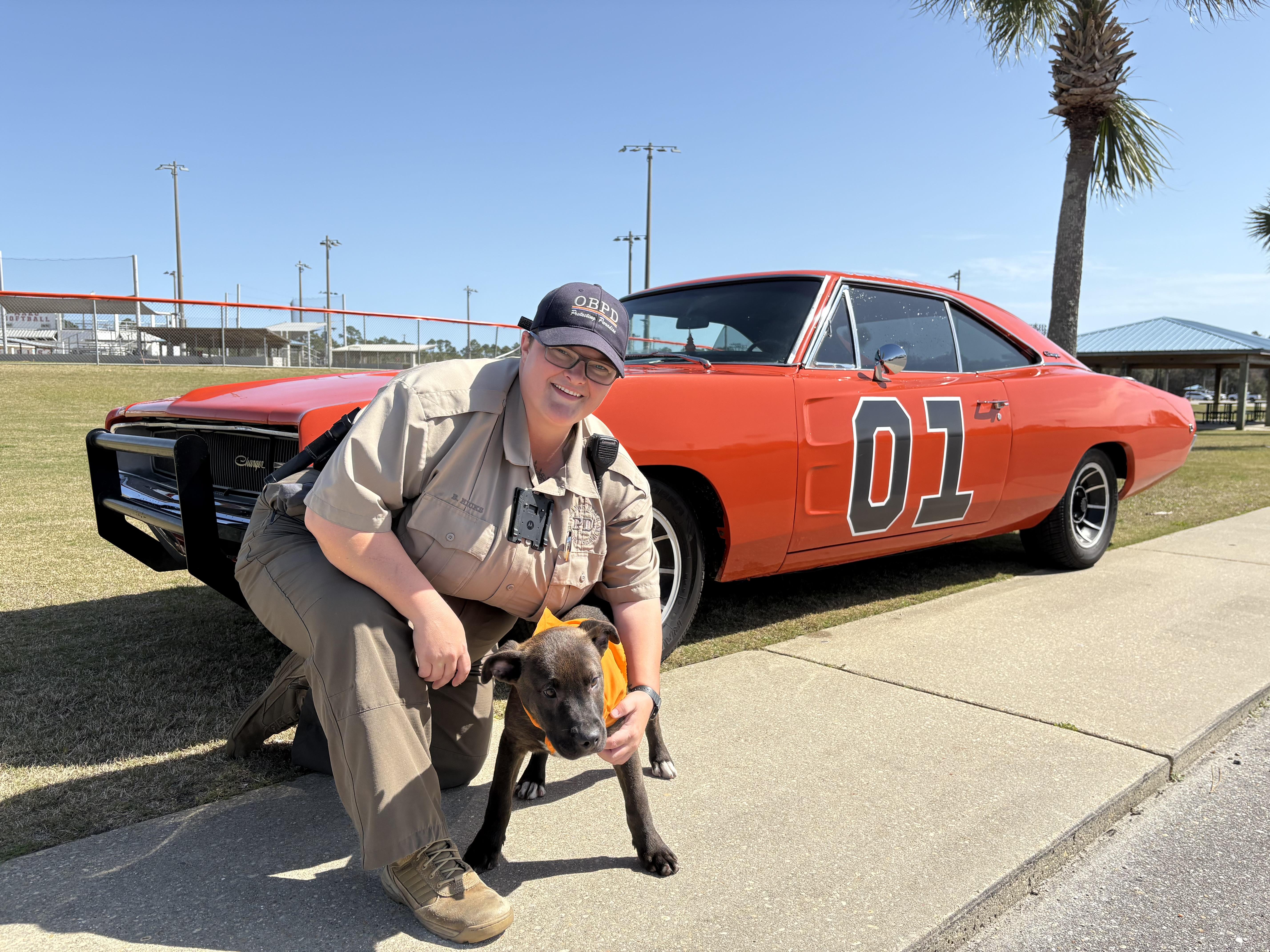 Duke, a Adopted Mixed Breed in Orange Beach, AL image 2/3