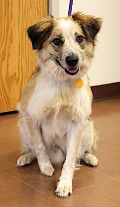 Chance — thumbnail 3