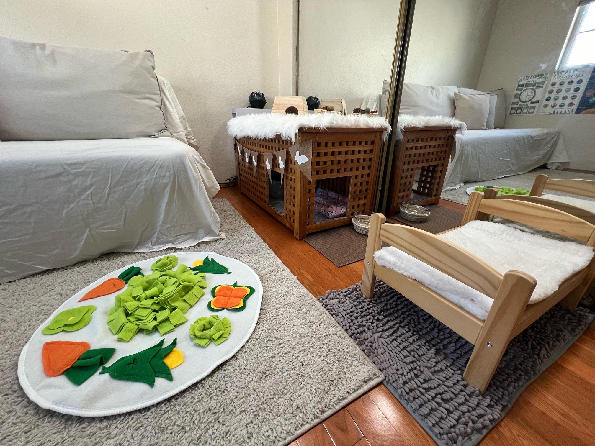 Sushi, an adoptable mixed breed in Carnation, WA image 4/5