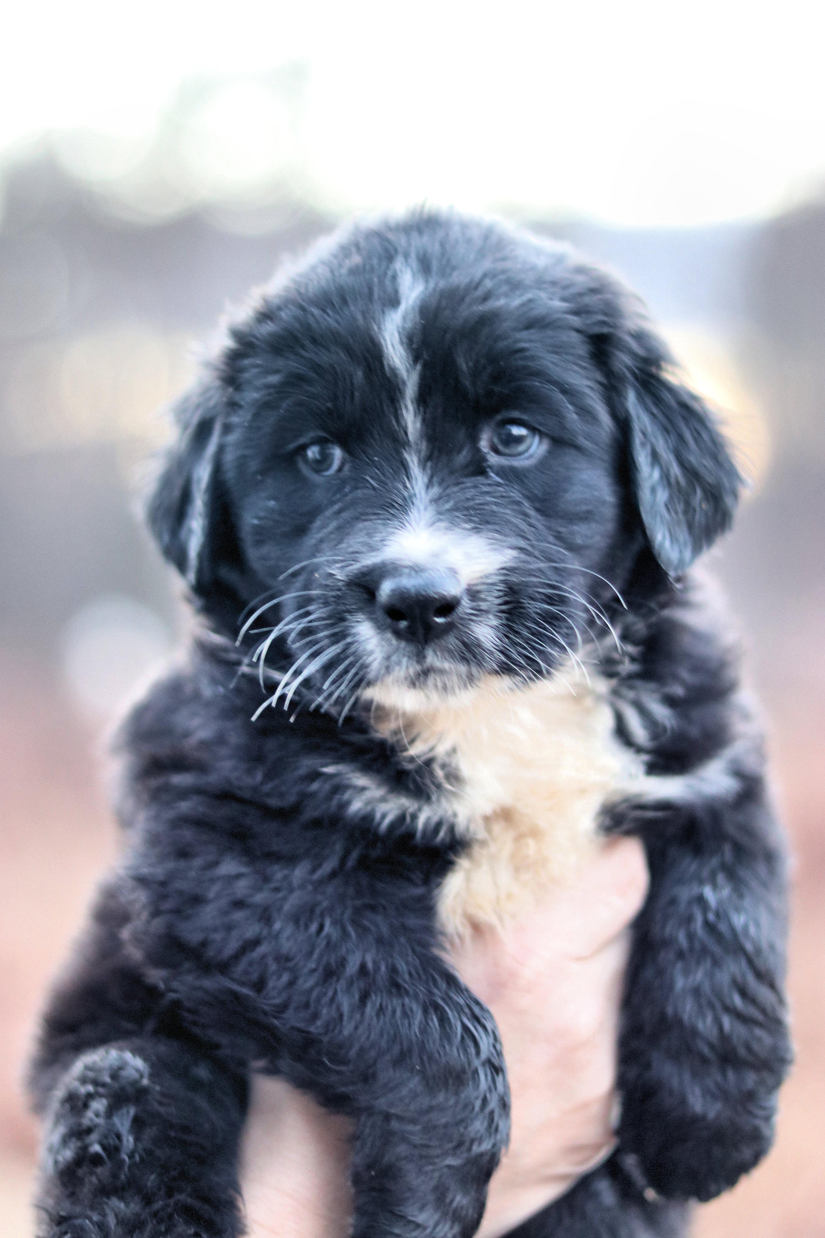 CT Gloria avail Nov 29