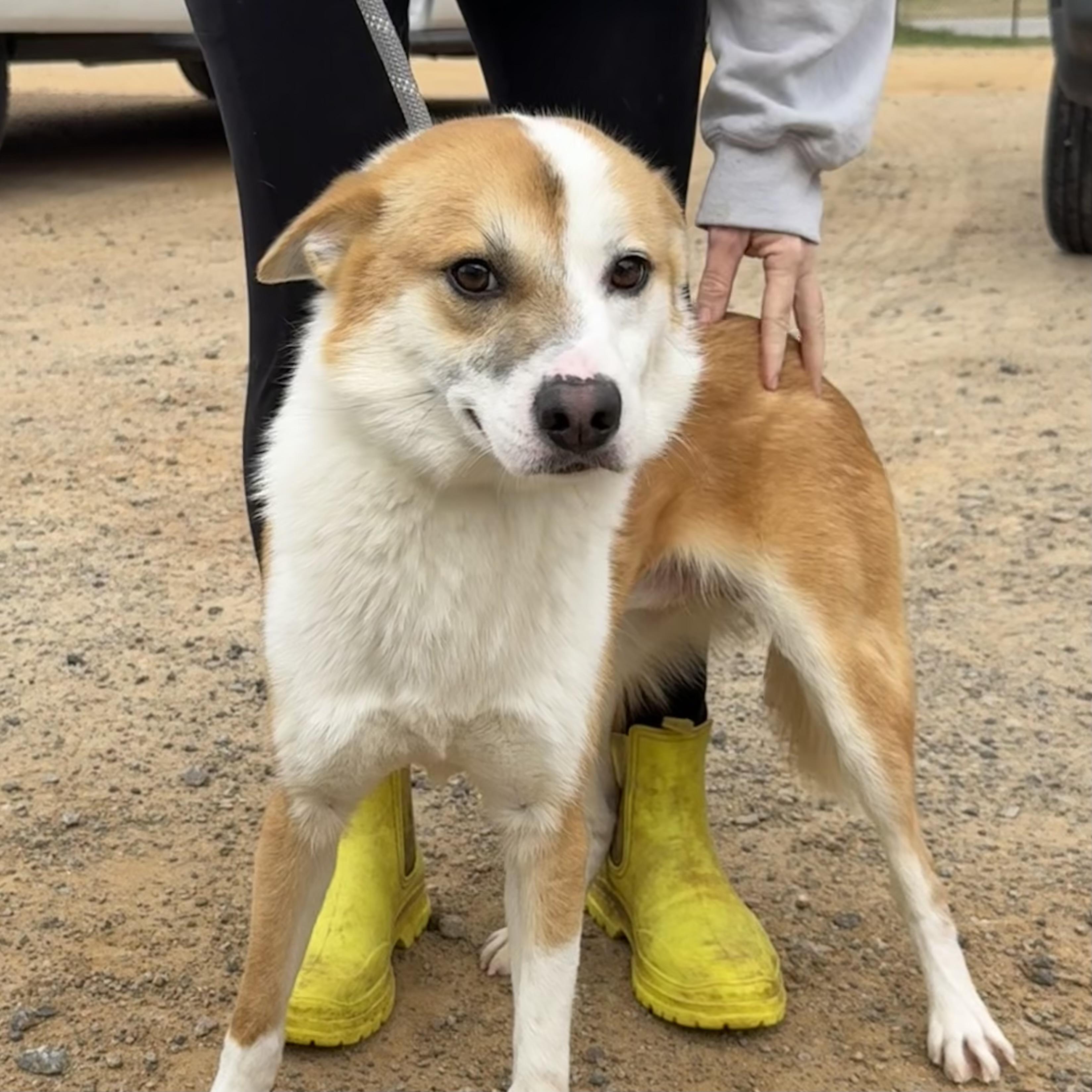 Todd — thumbnail 3