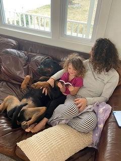 Reece - Courtesy Post, Adoptable, Young Female Rottweiler.