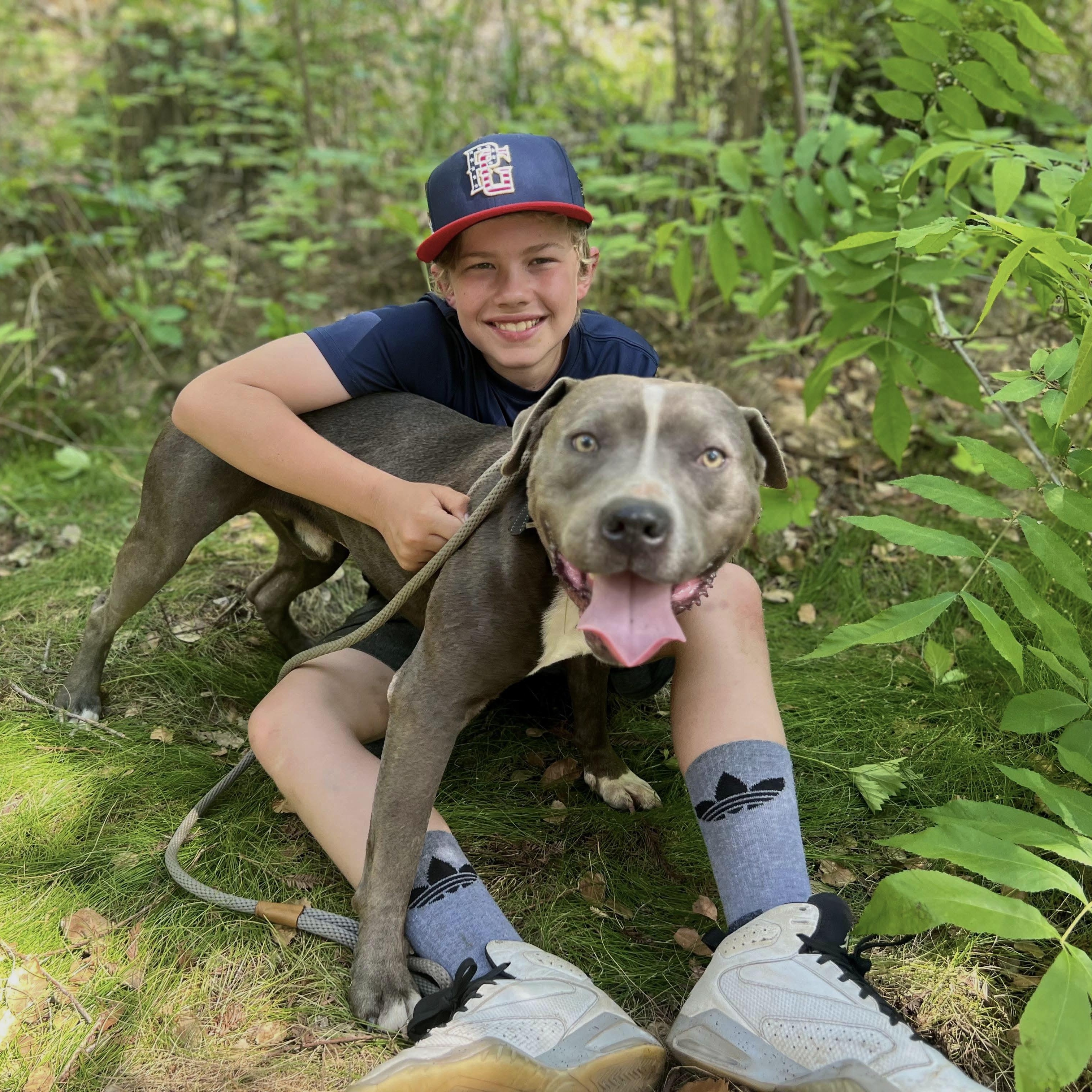 Enlarge Dunkaroo, a Adoptable American Staffordshire Terrier in Fortuna, CA image 1/6