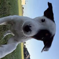 Chester
