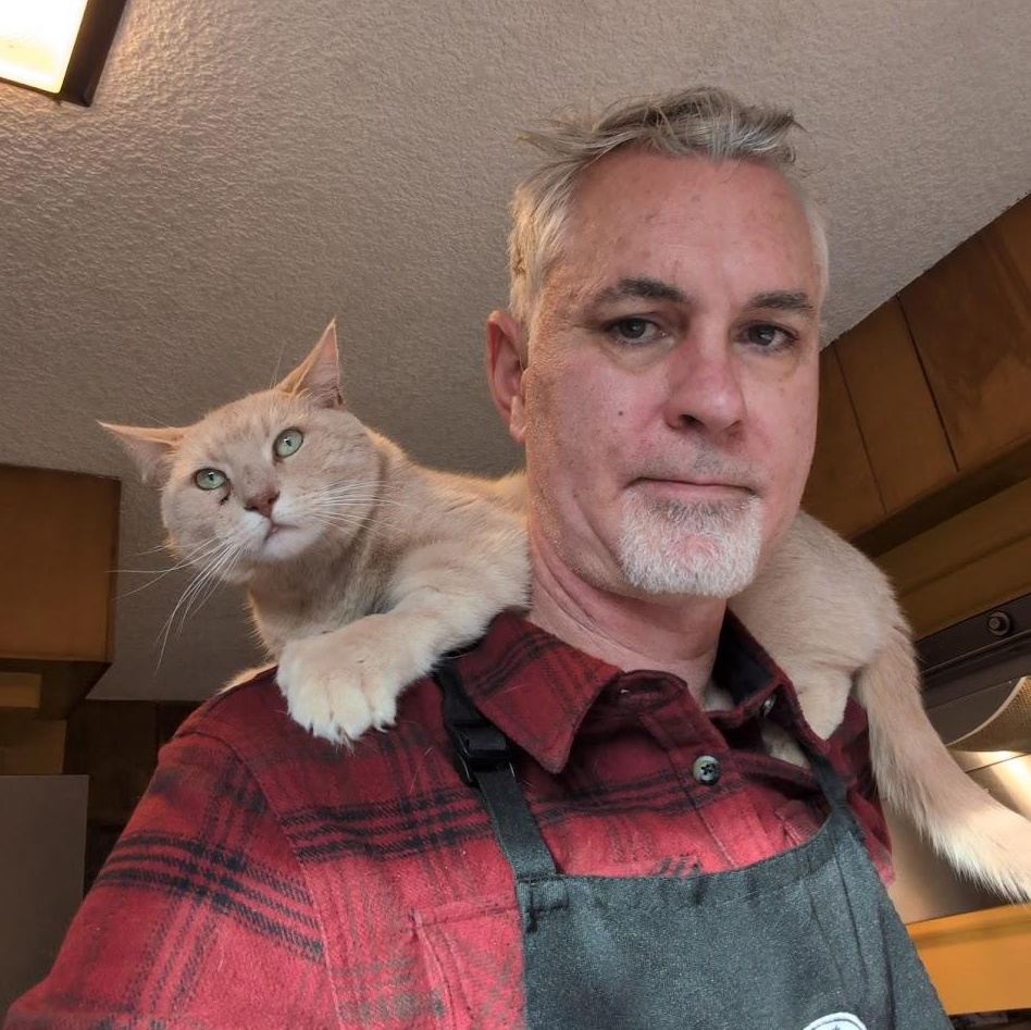 Enlarge Arrow, a ADOPTABLE Domestic Short Hair in Portland, OR image 1/1