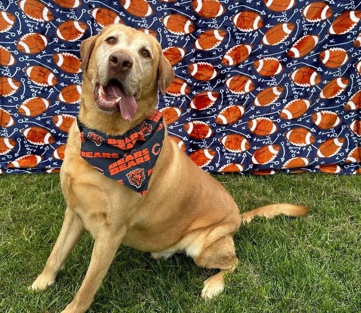 Zeke