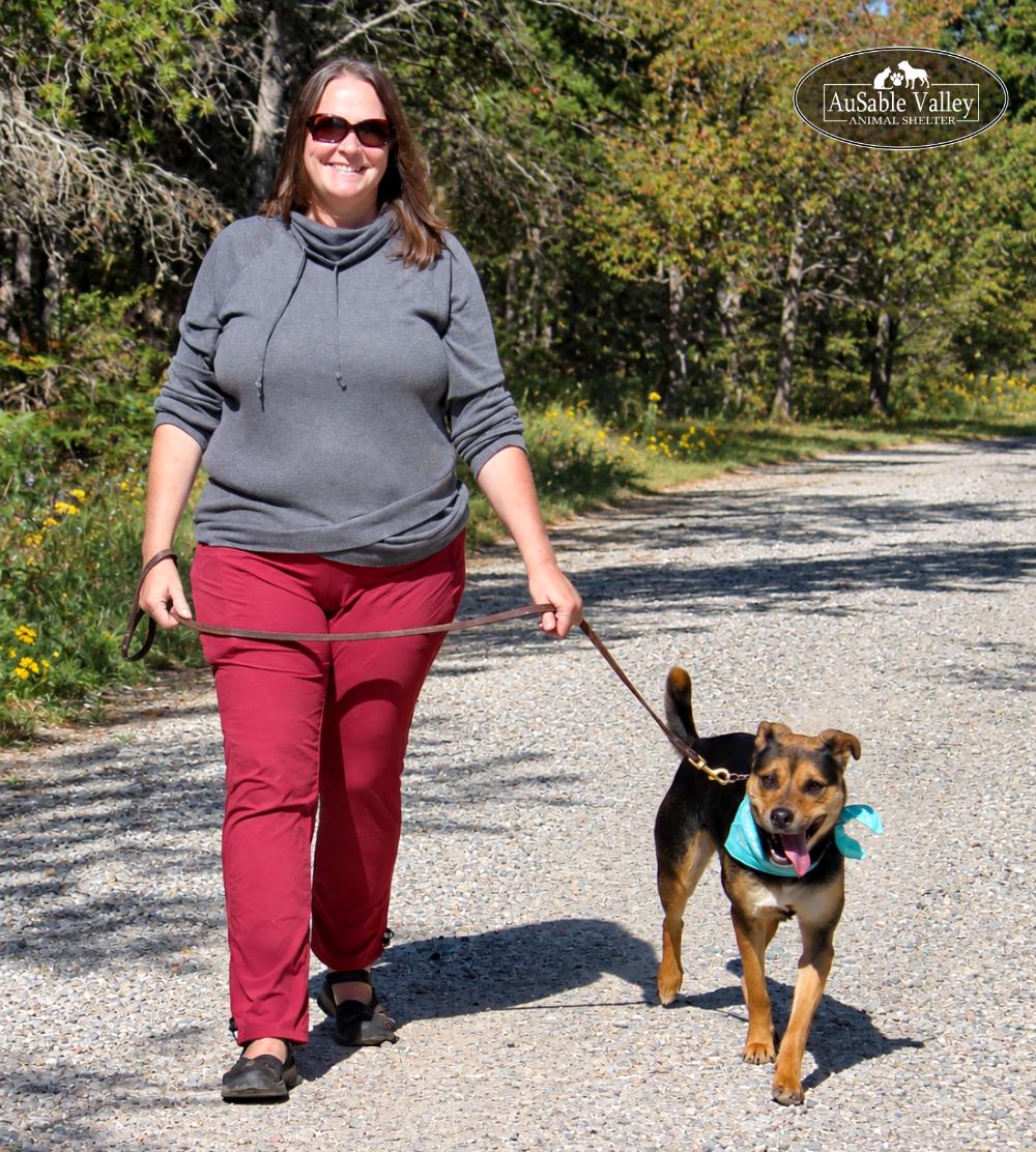 Enlarge Carley, a Adopted mixed breed in Grayling, MI image 6/6