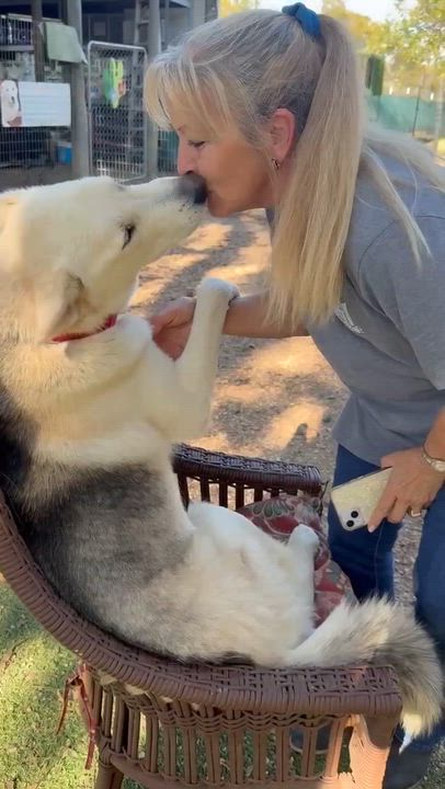 Enlarge "Mack", a ADOPTABLE mixed breed in Kerrville, TX video 4/4