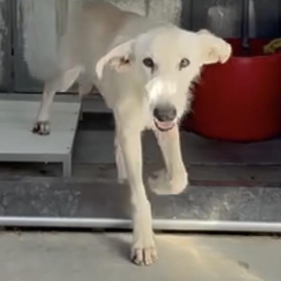 Greg Aka Buddy thumbnail 2