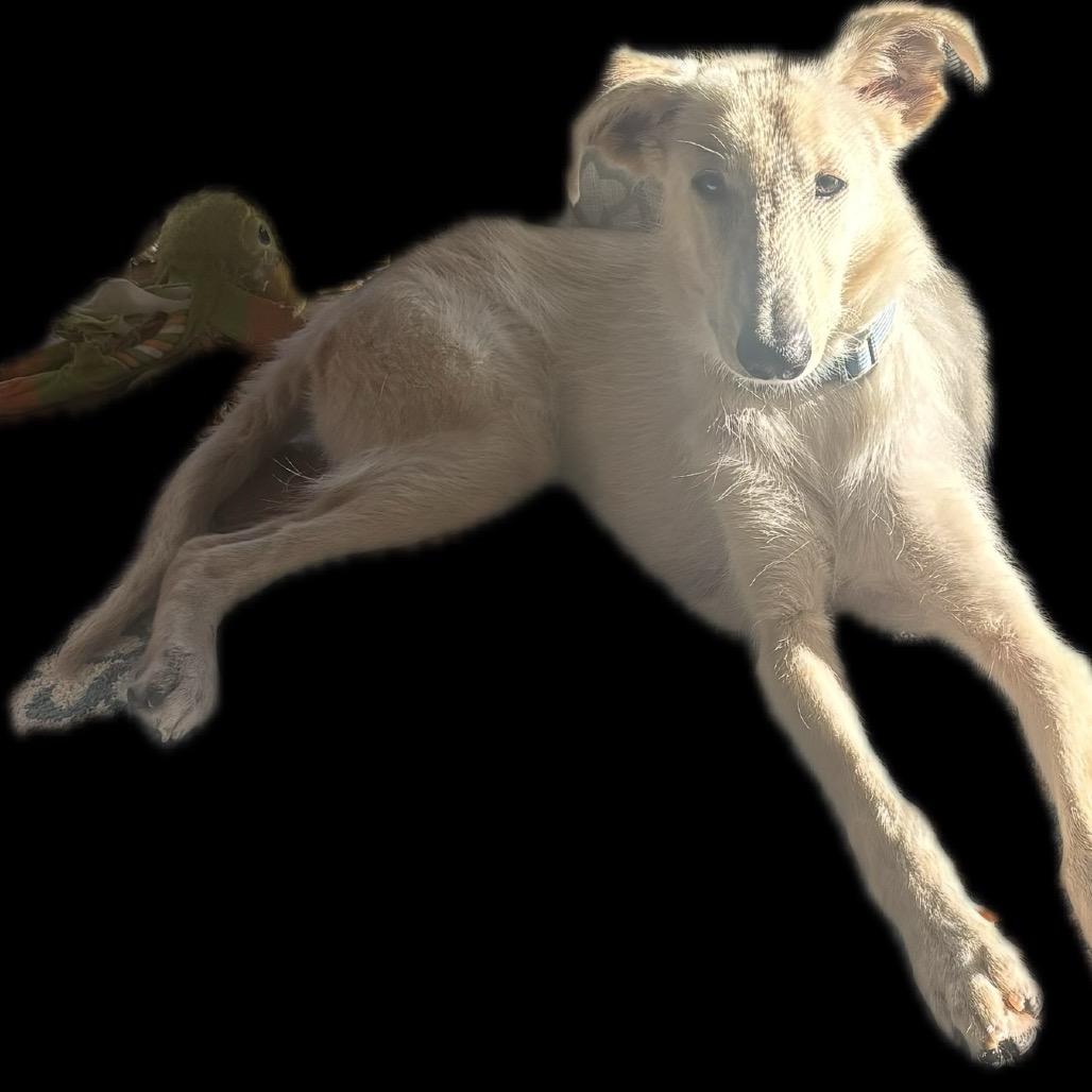 Greg Aka Buddy thumbnail 4