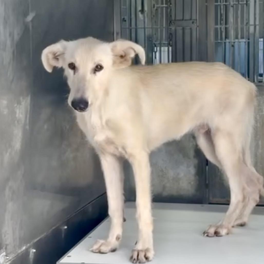 Greg Aka Buddy thumbnail 5