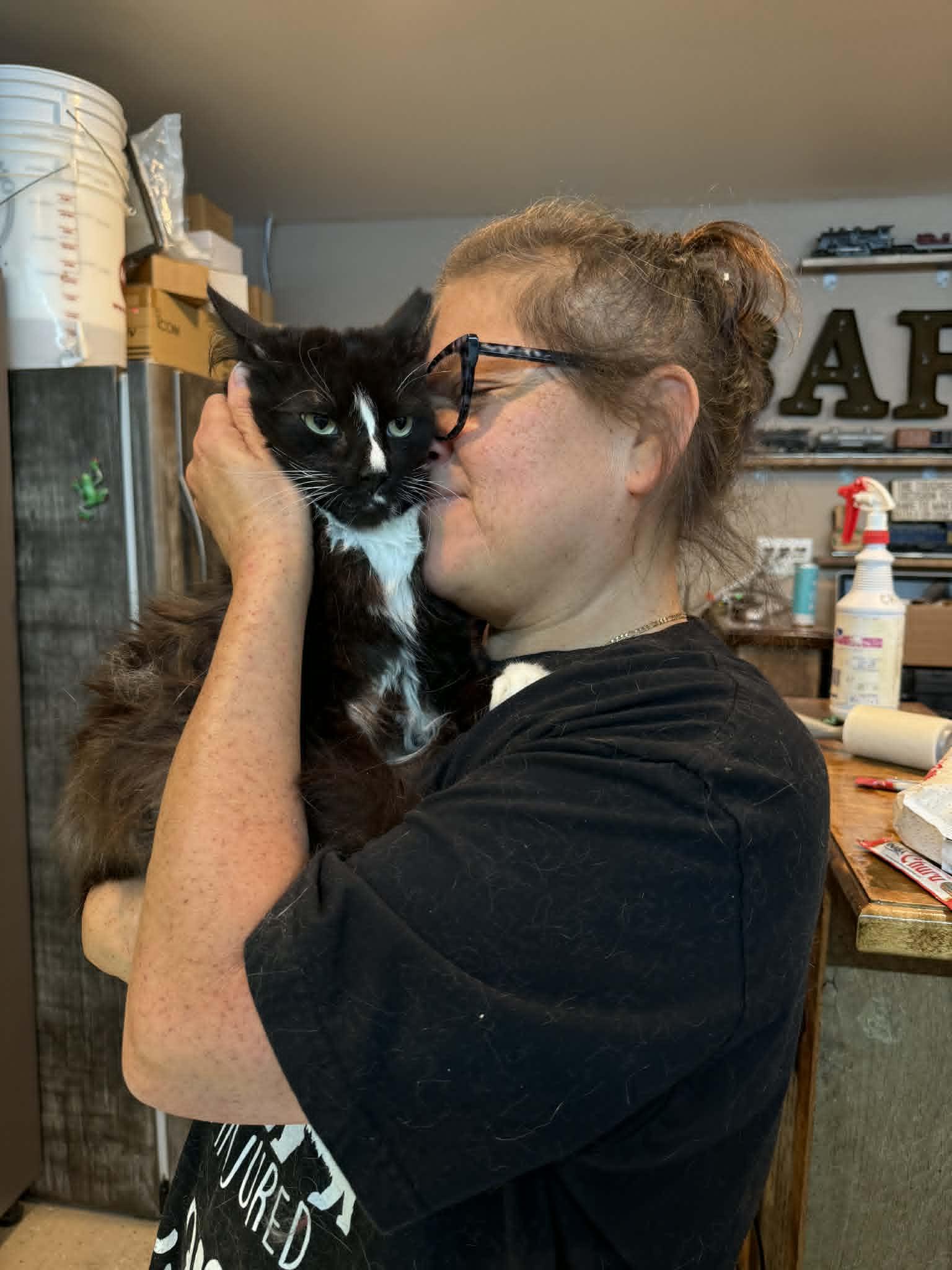 ALADDIN, a Adoptable mixed breed in HEMET, CA image 2/4