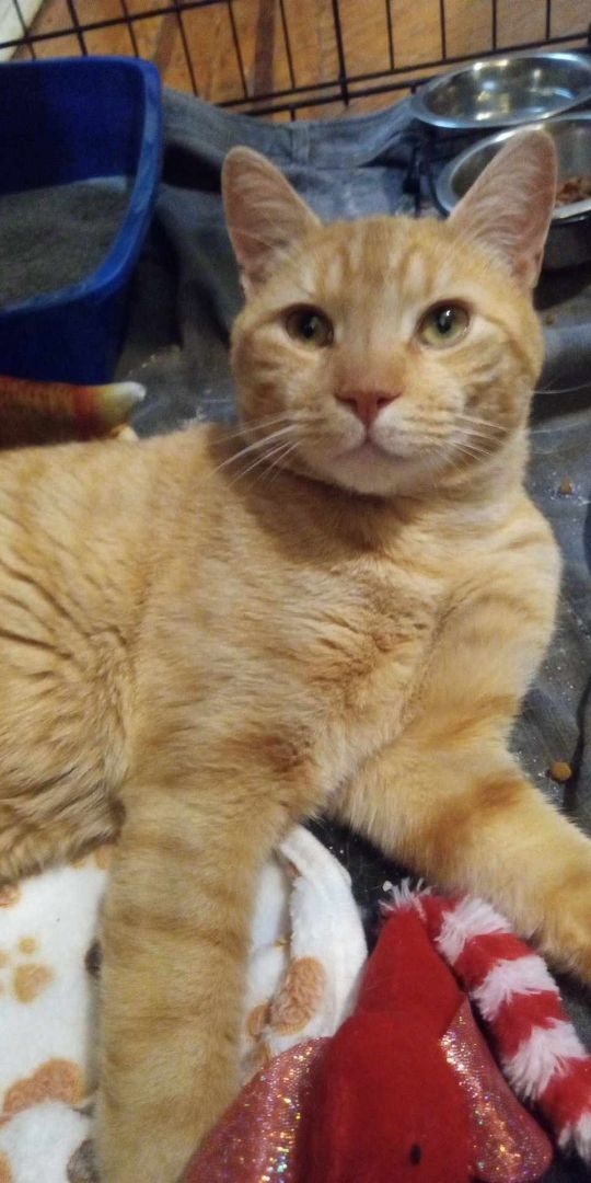 Chester
