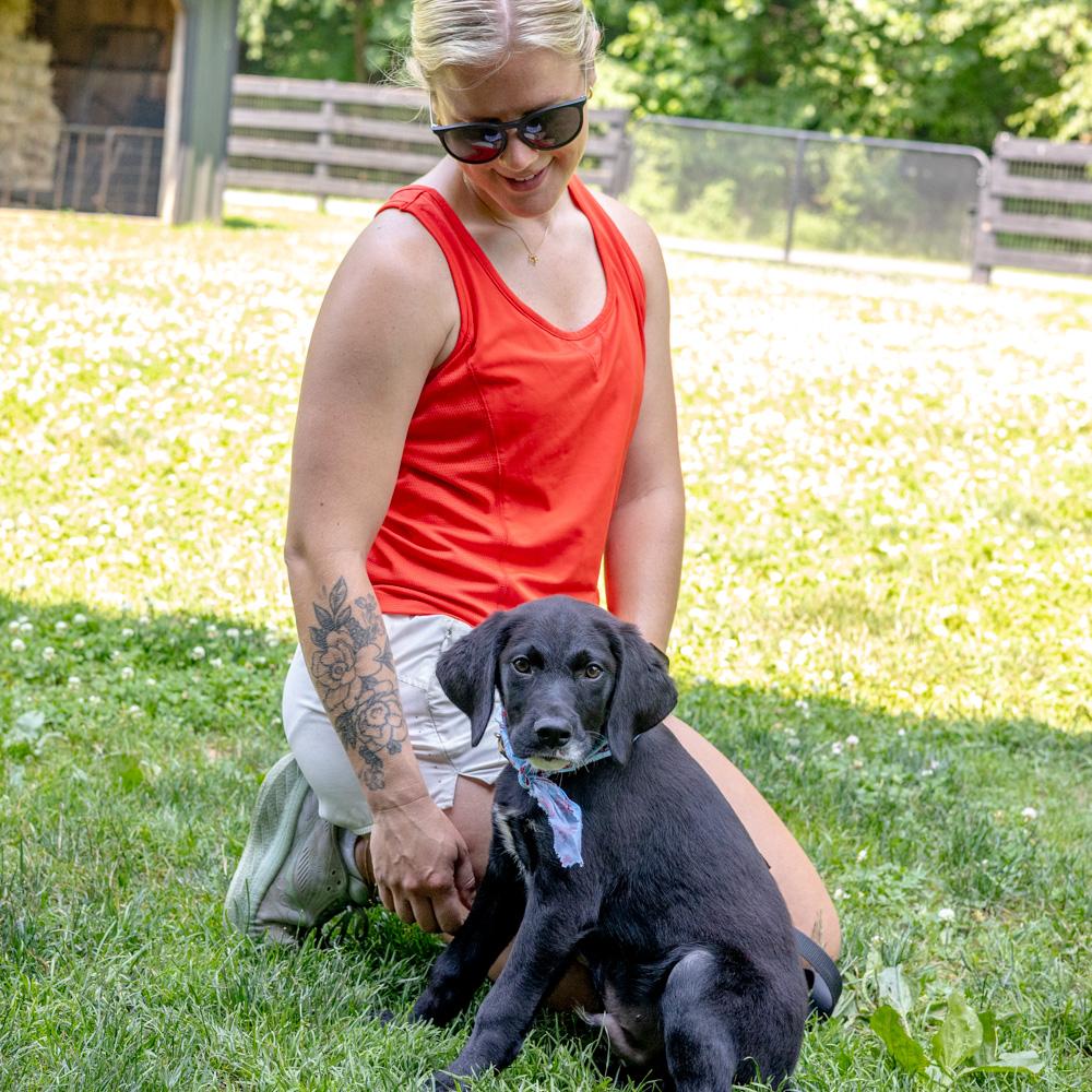 Reef (Male) Avail 7/11, an adopted mixed breed in West Grove, PA image 4/6