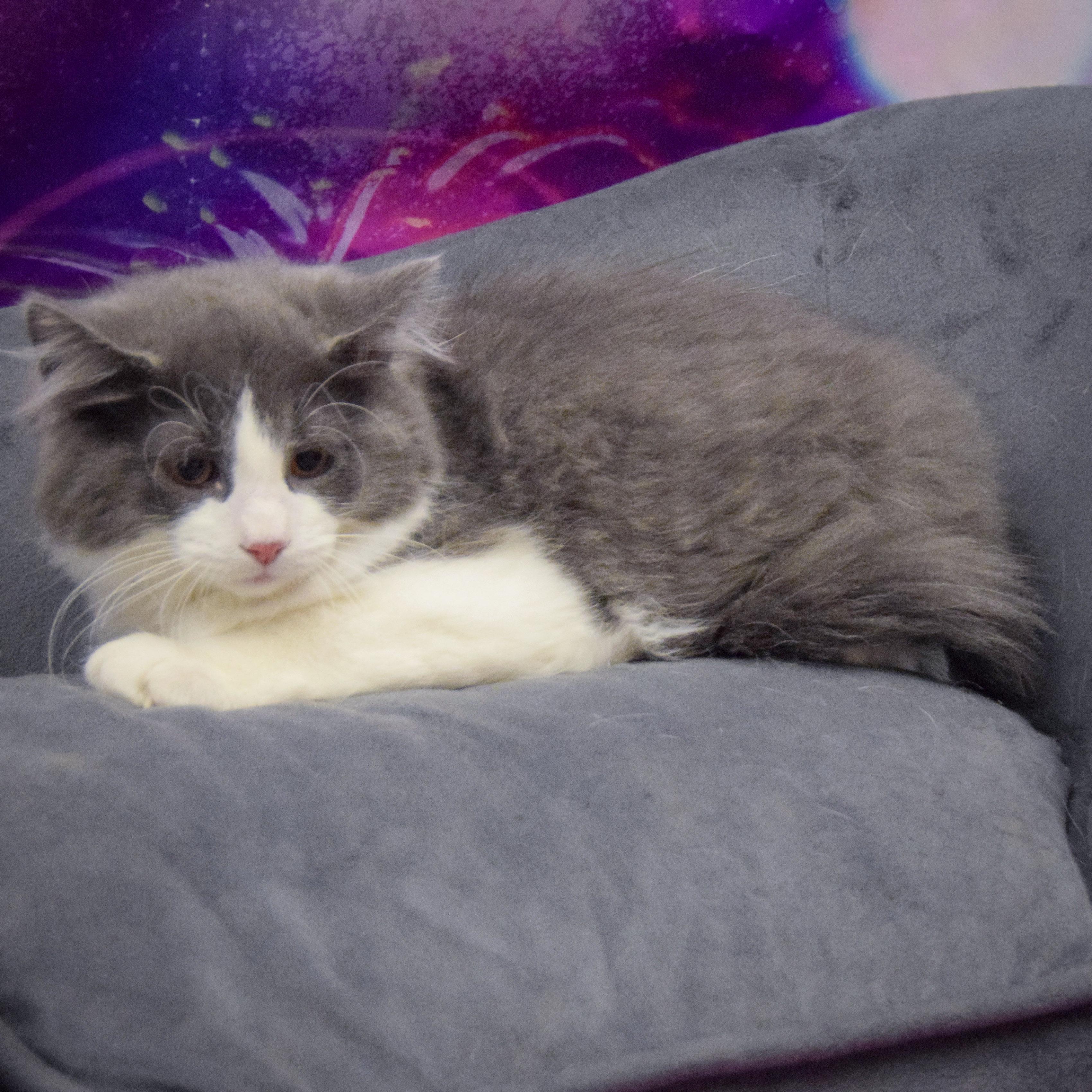 Wilbert photo 3