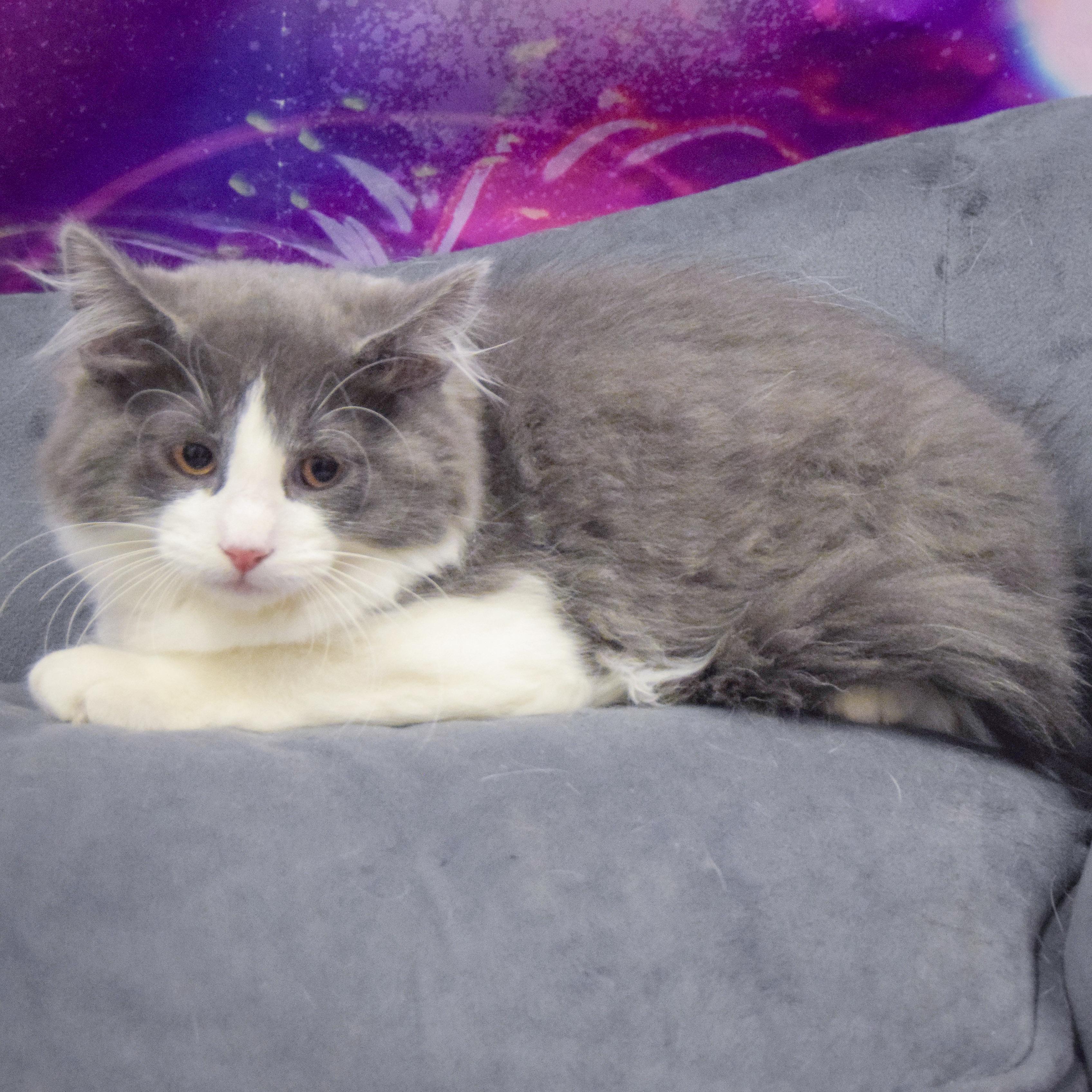 Wilbert photo 4