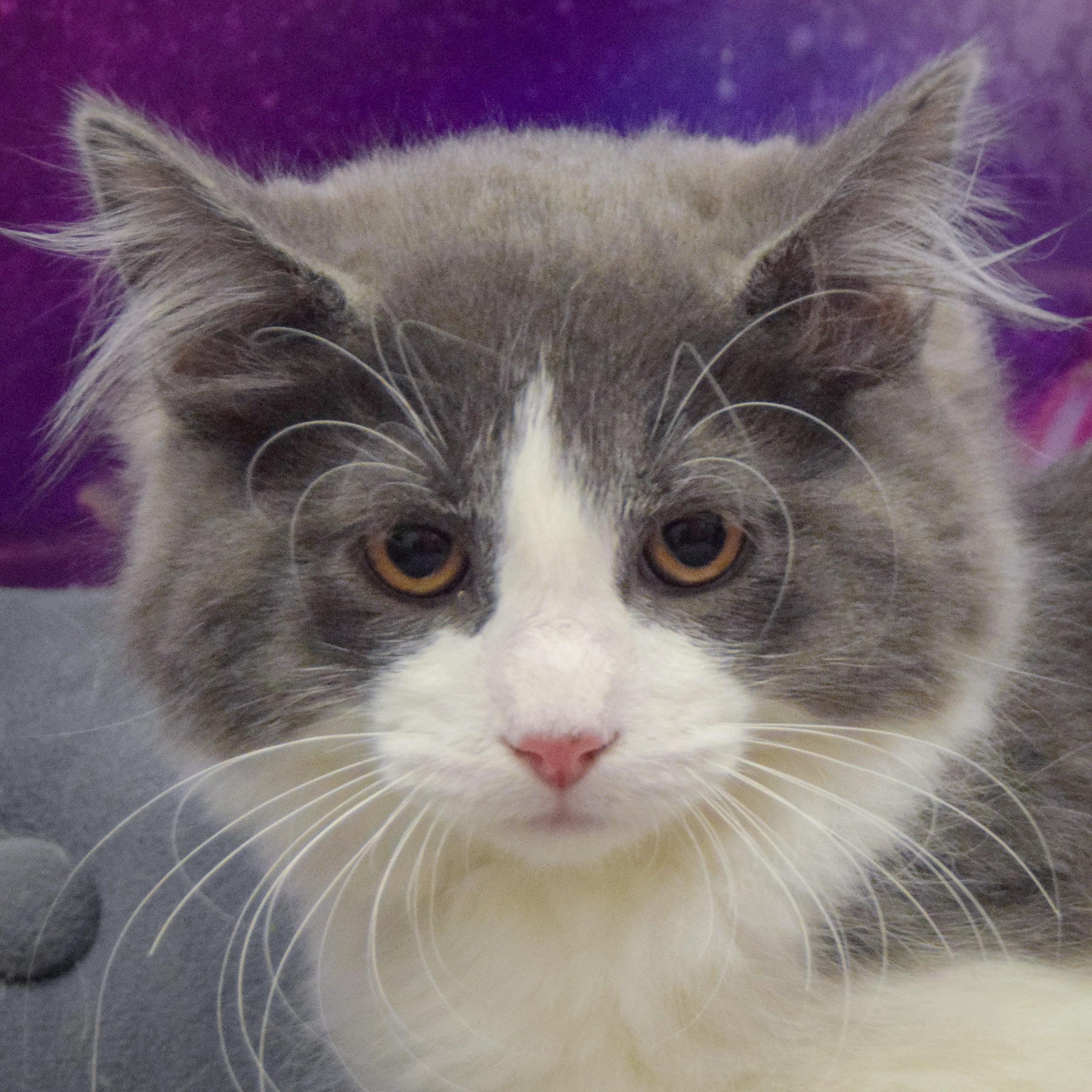 Wilbert photo 2