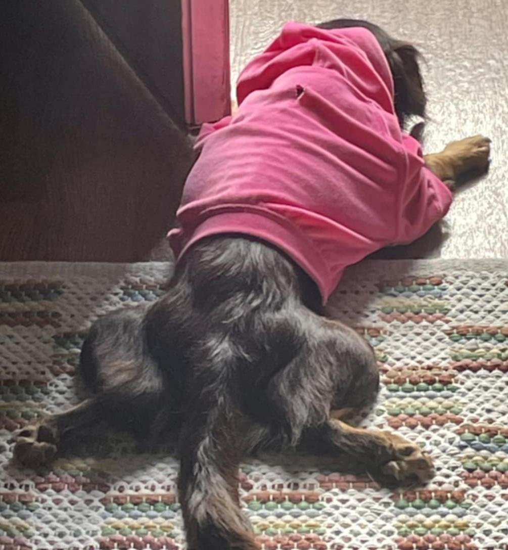 Zoey (watch my happy video)