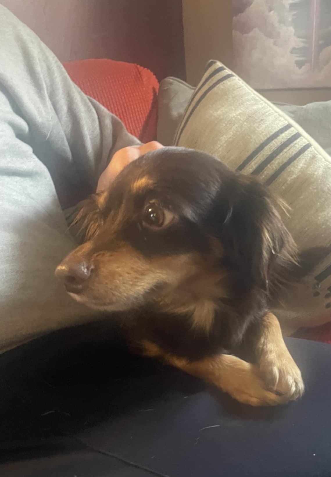 Zoey (watch my happy video)