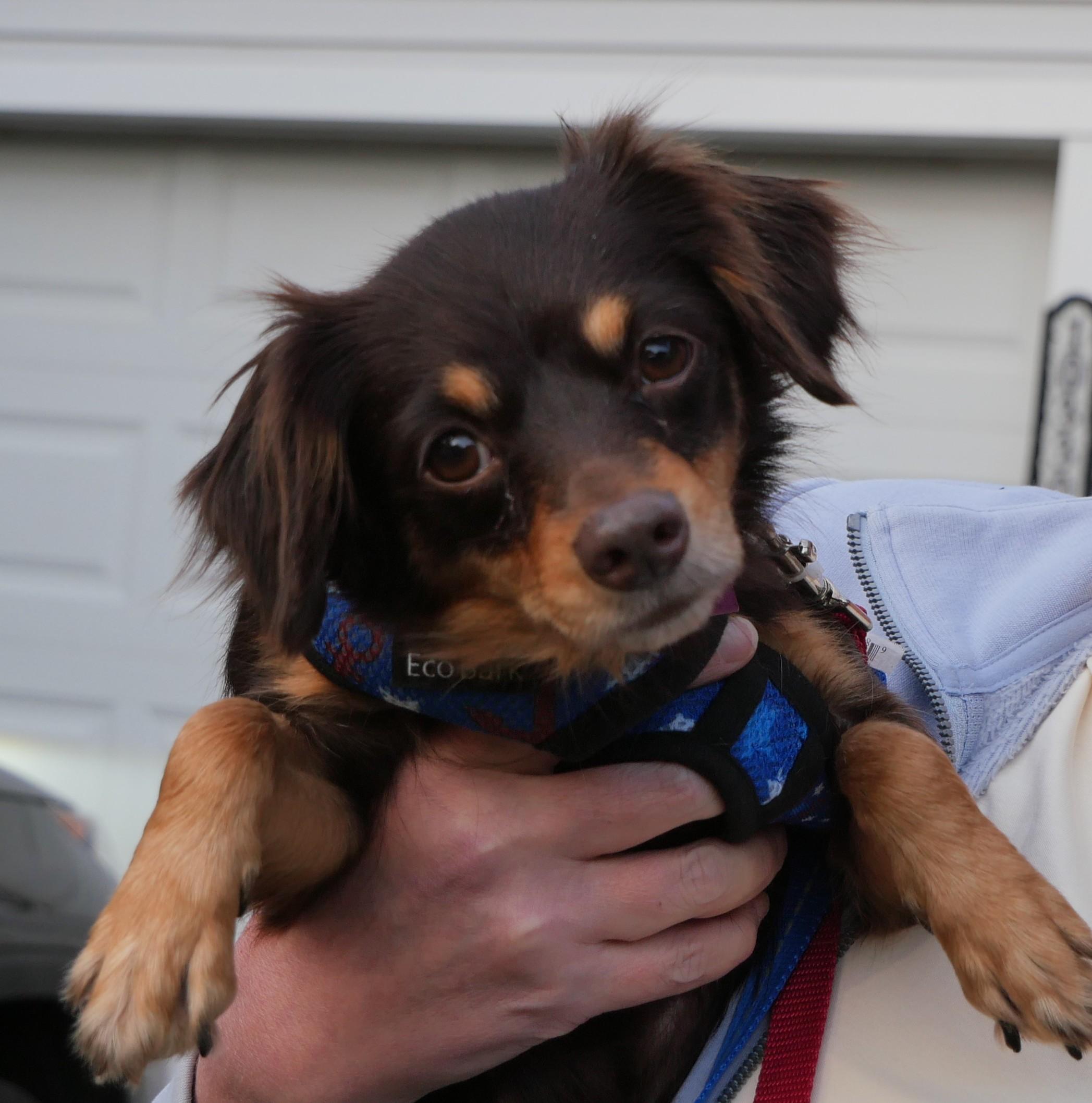 Zoey (watch my happy video)