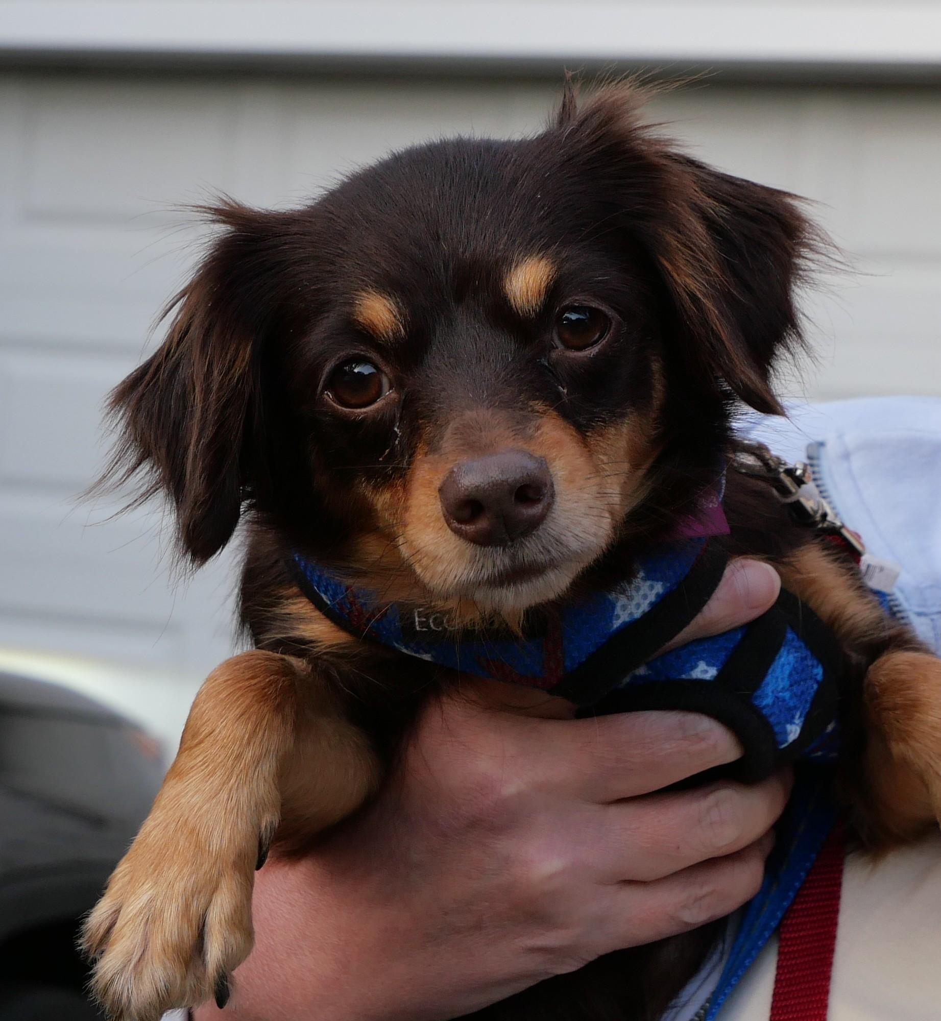 Zoey (watch my happy video)