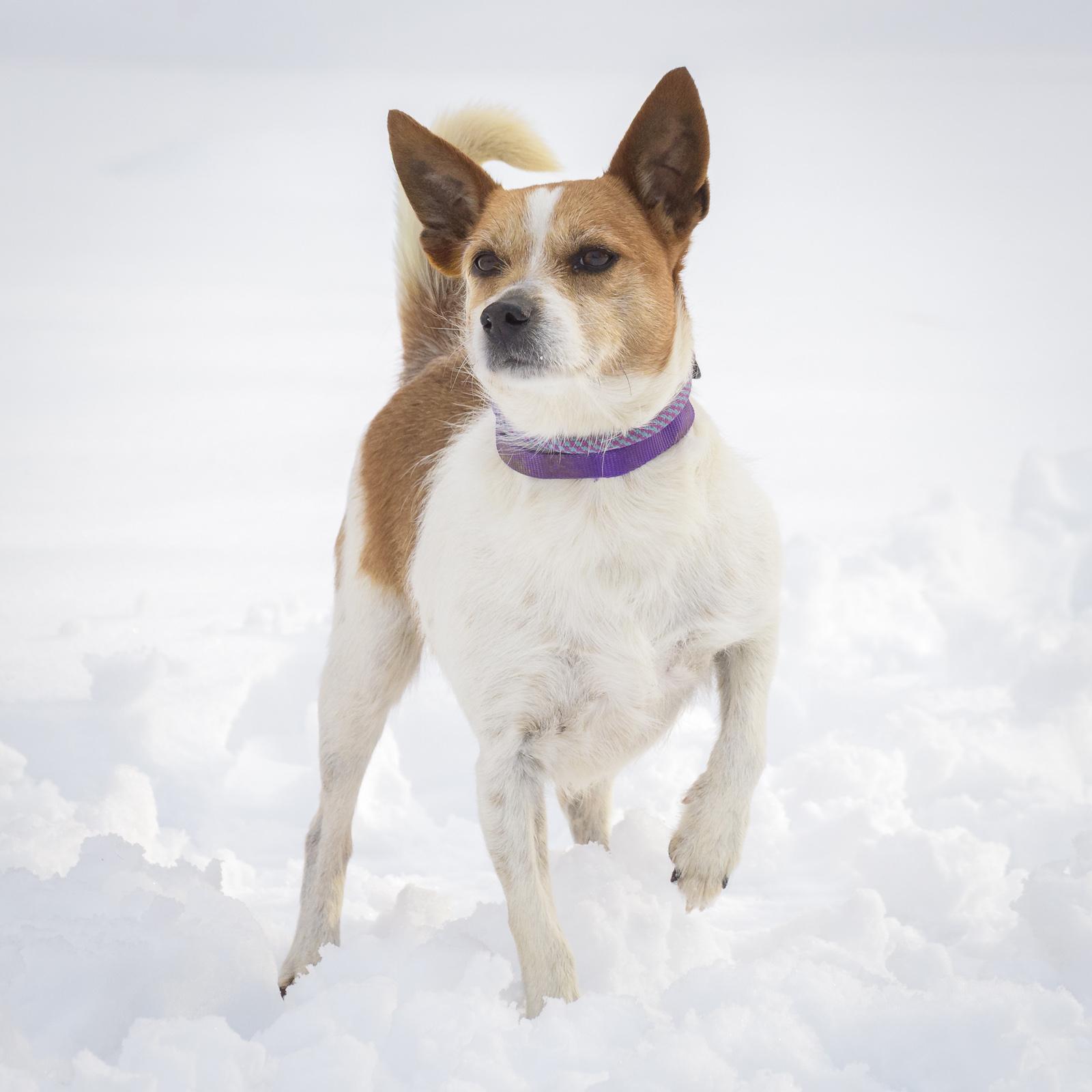 Pete — thumbnail 2