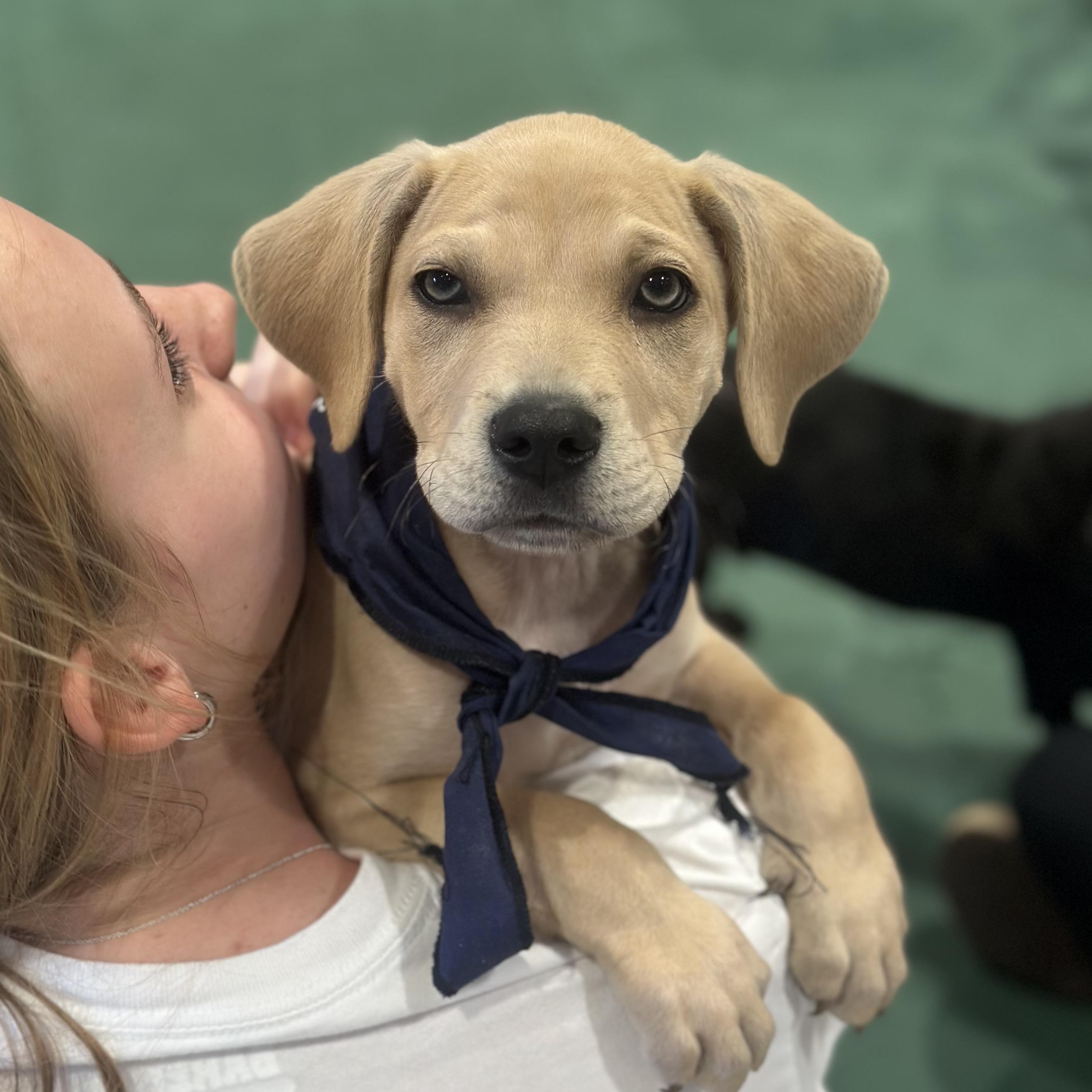 Flatback — thumbnail 3