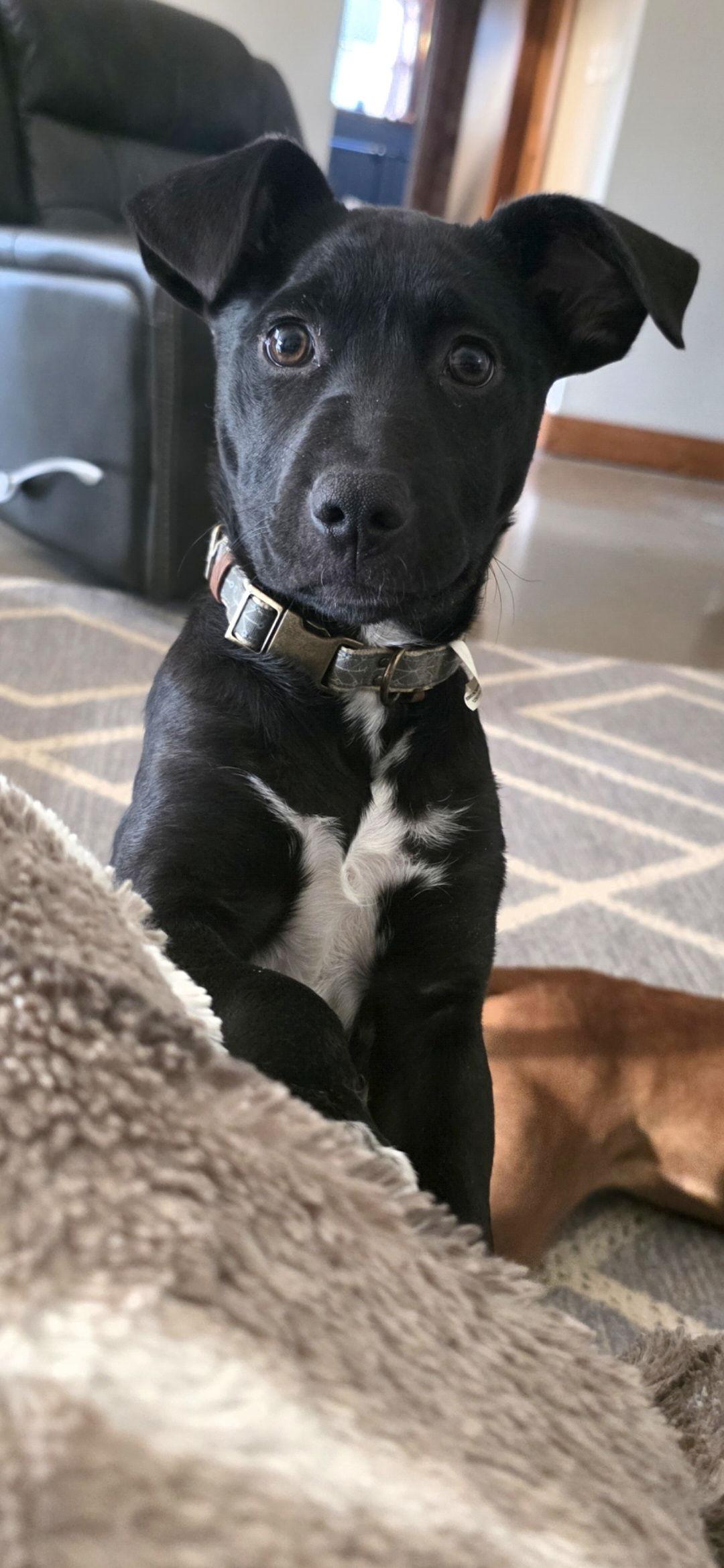 Olga — thumbnail 3