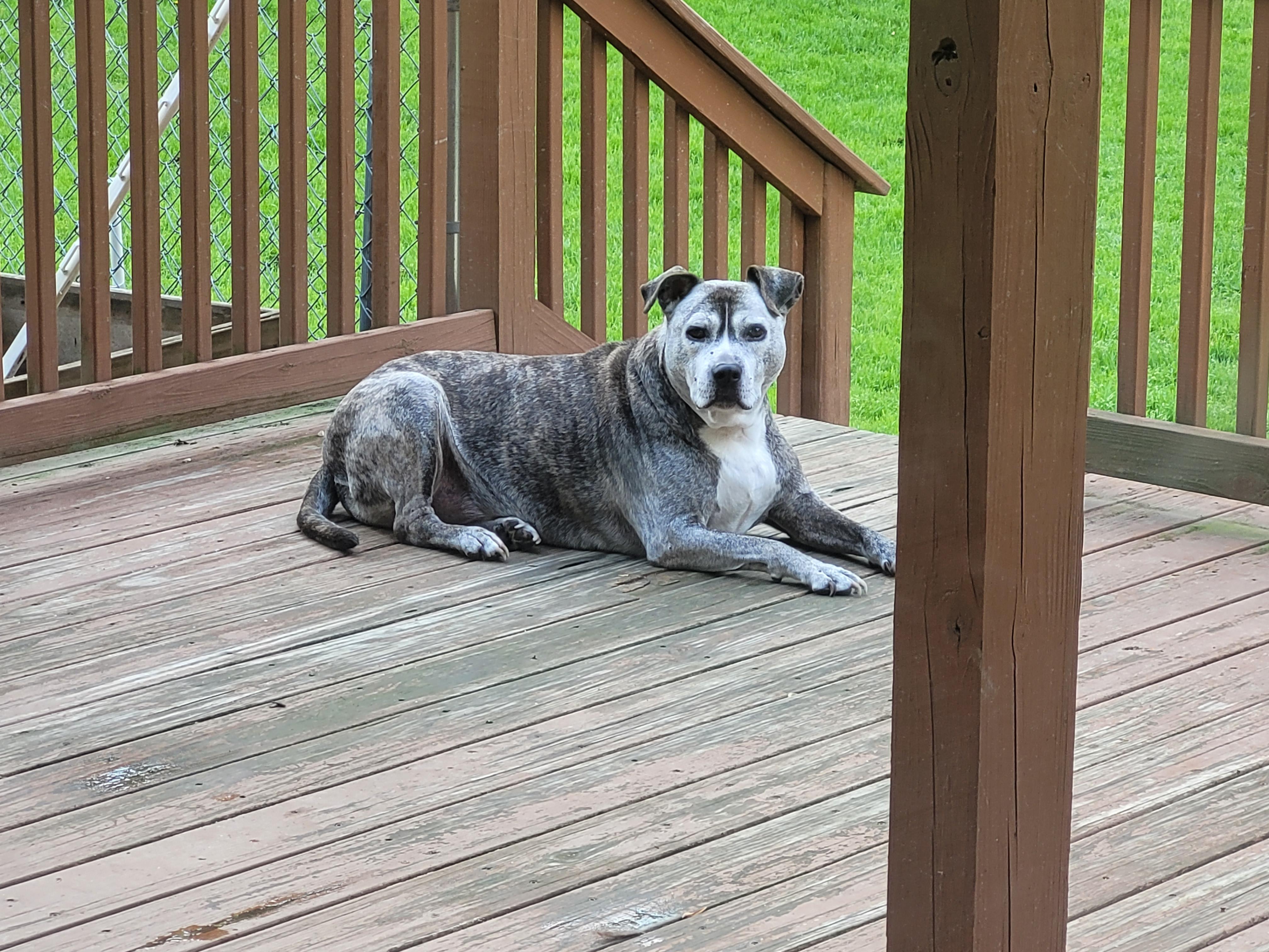 Jessie