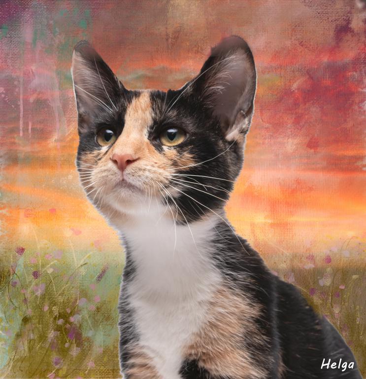 Helga