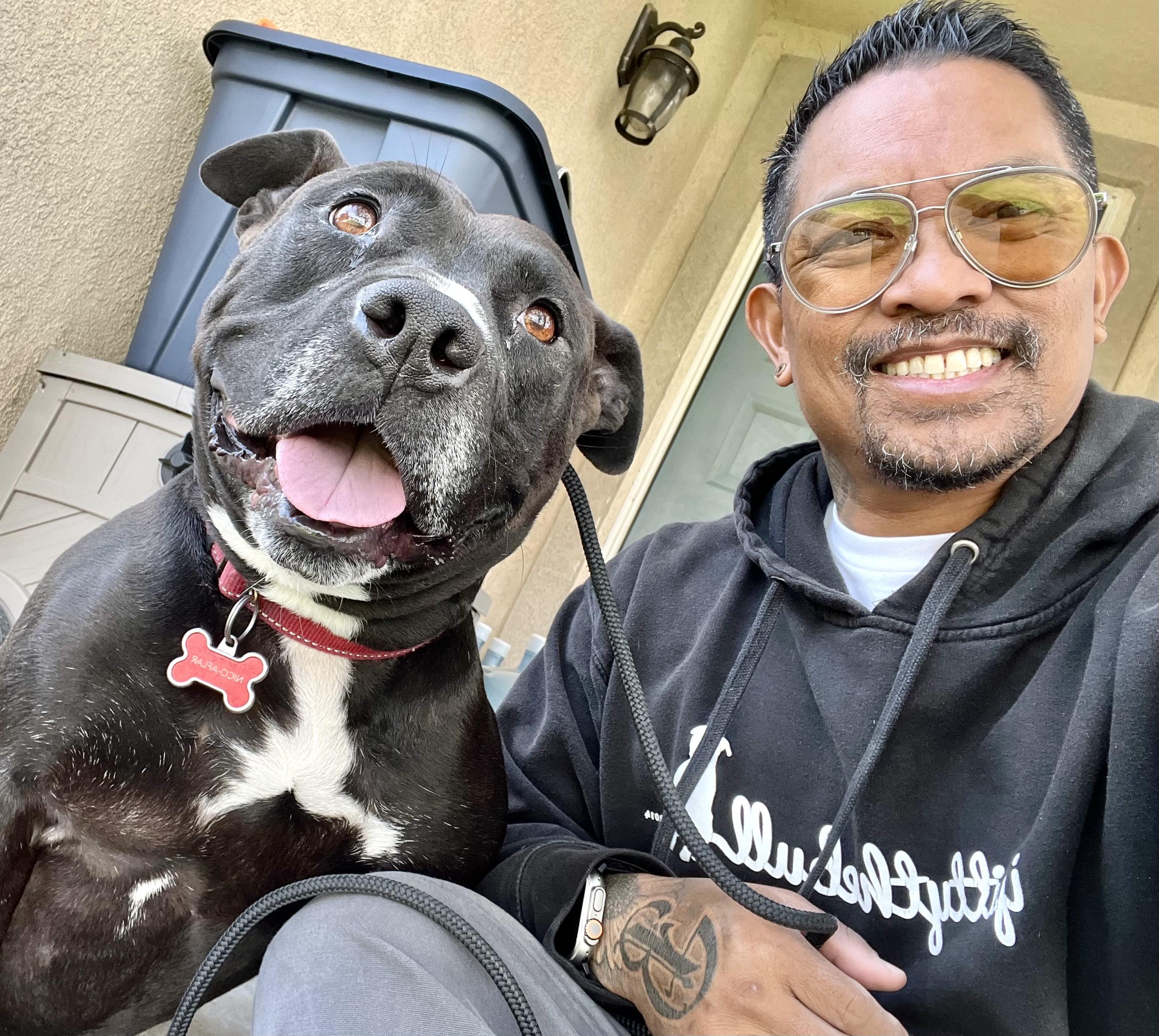 NICO, an adoptable American Staffordshire Terrier, Pit Bull Terrier in Thousand Oaks, CA, 91360 | Photo Image 2