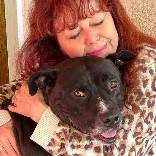 NICO, a Adoptable mixed breed in Thousand Oaks, CA image 6/6