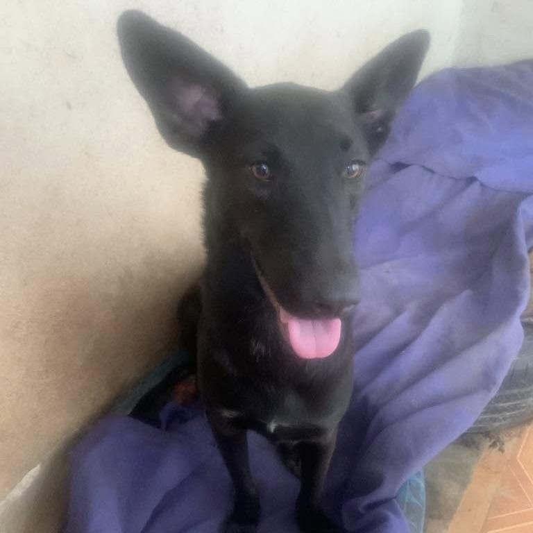 Micky (20240517-09) — thumbnail 3