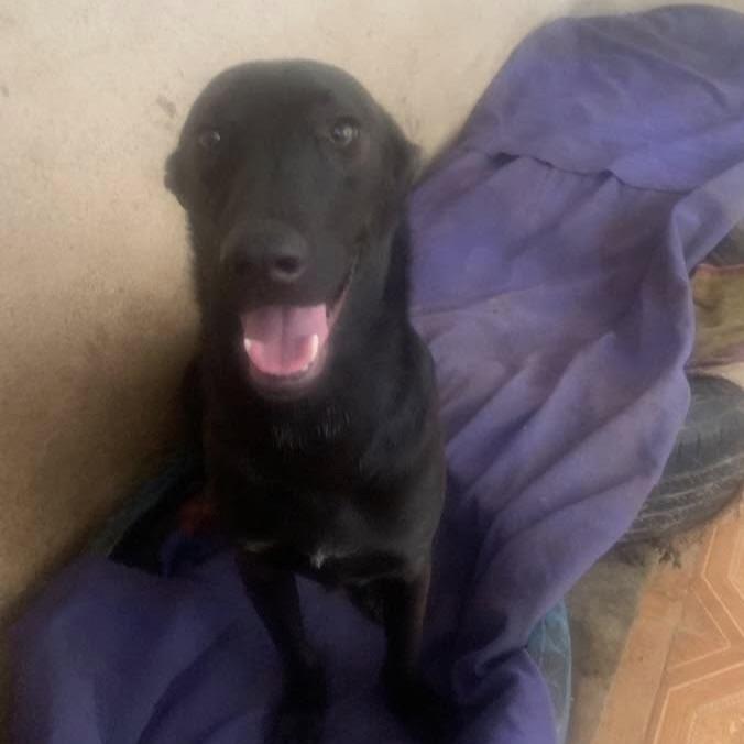 Micky (20240517-09) — thumbnail 4