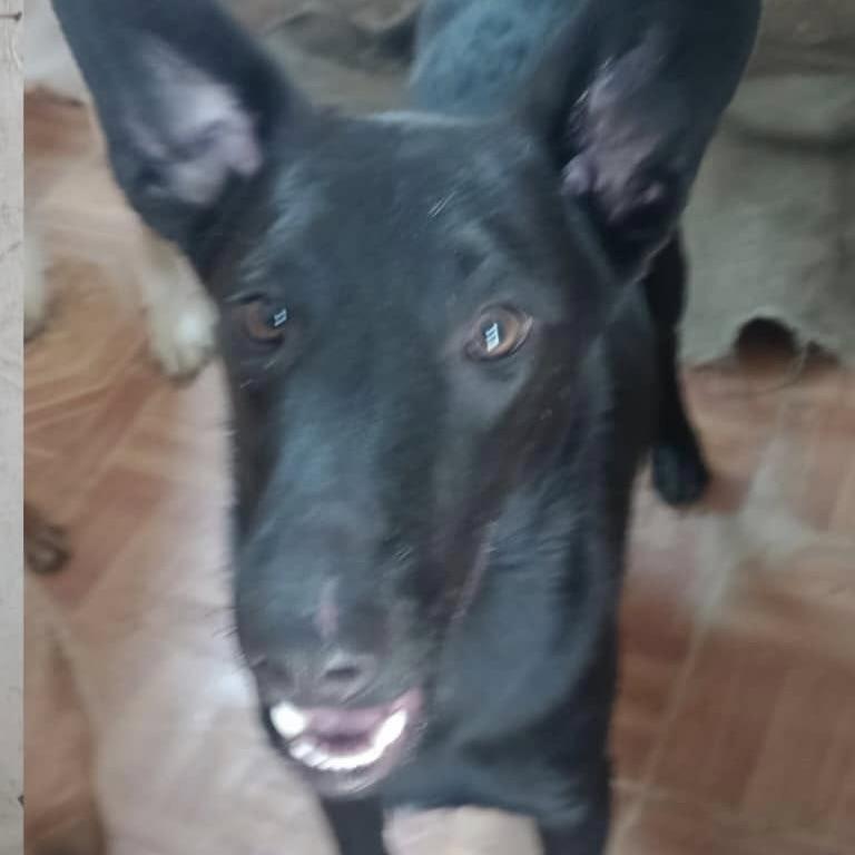 Micky (20240517-09) — thumbnail 6