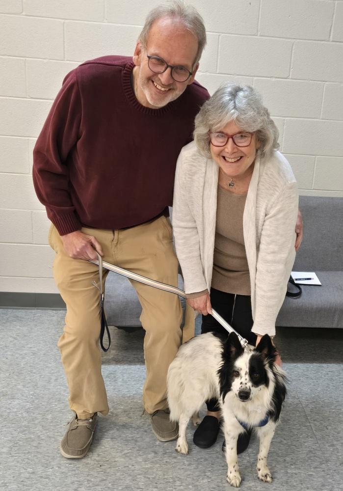 Snowball, Adopted, Young Male Border Collie.