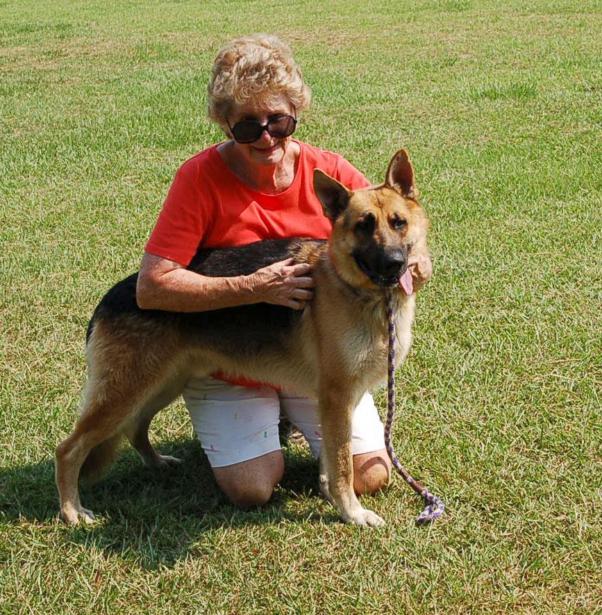 Enlarge MAX AD 08-29-26, a Adopted German Shepherd Dog in Preston, CT image 4/6