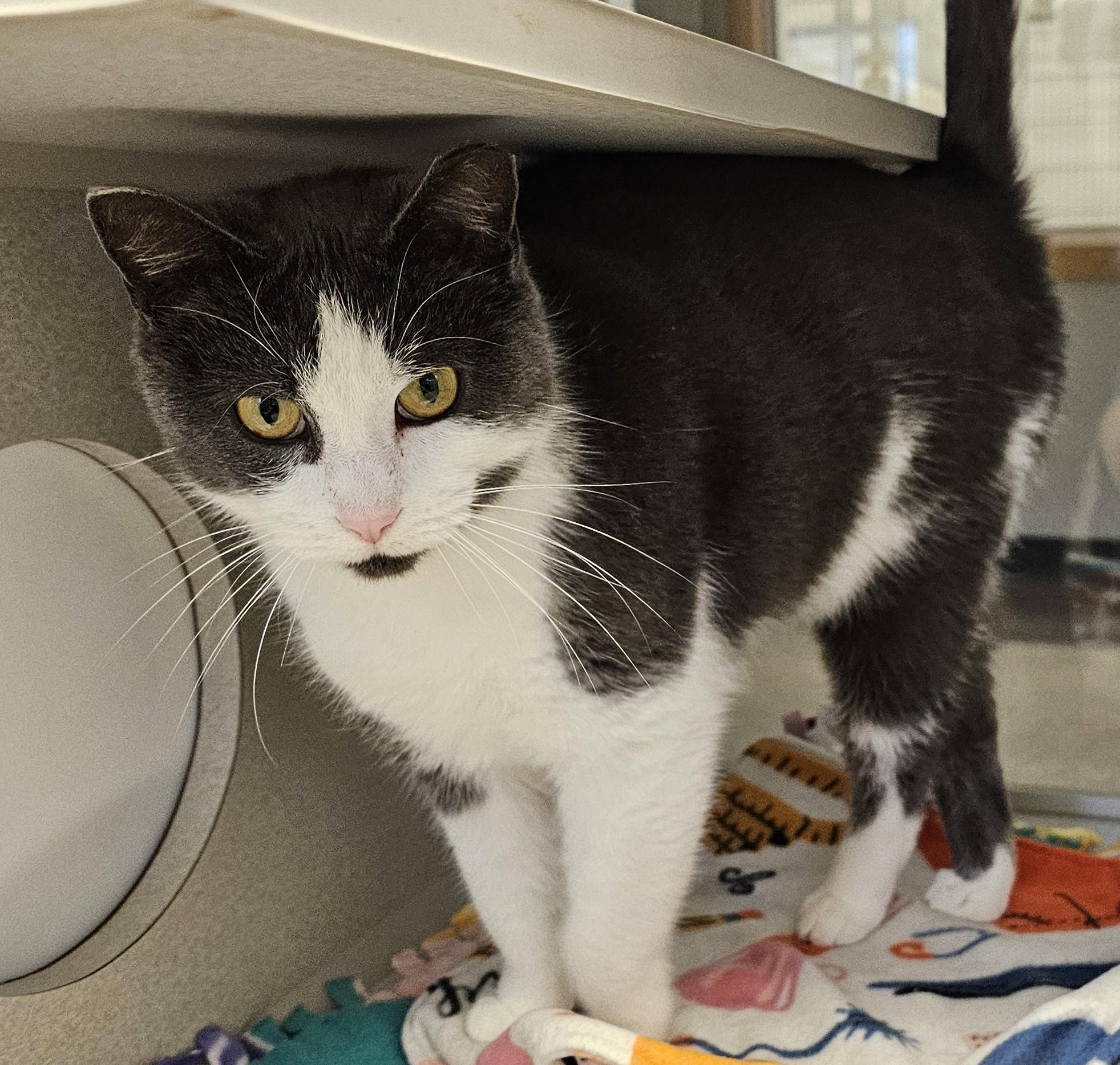 Sugar — thumbnail 2