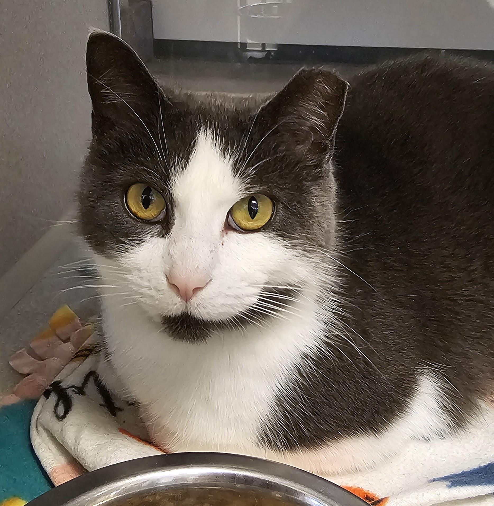 Sugar — thumbnail 3